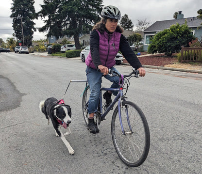 Moved By Bikes Dog Runners - Angler's Pro Tackle & Outdoors