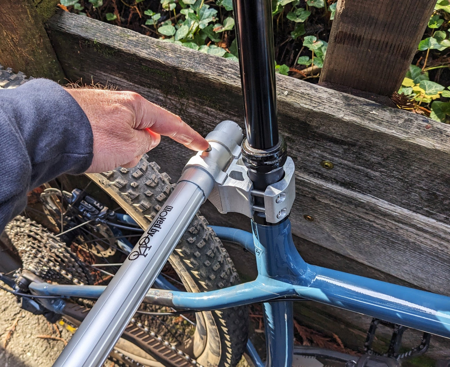 Moved By Bikes Dog Runners - Angler's Pro Tackle & Outdoors