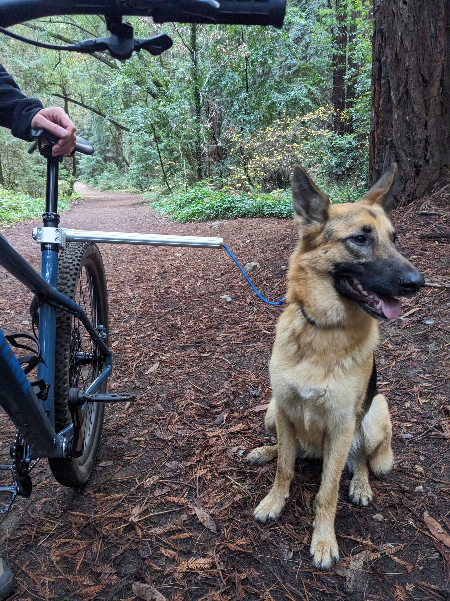 Moved By Bikes Dog Runners - Angler's Pro Tackle & Outdoors