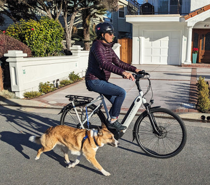 Moved By Bikes Dog Runners - Angler's Pro Tackle & Outdoors