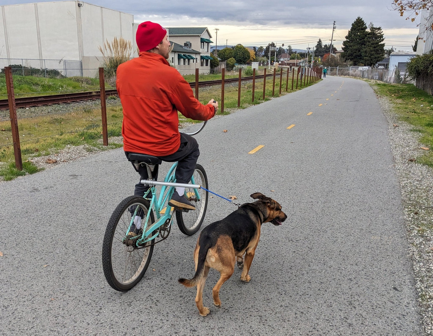 Moved By Bikes Dog Runners - Angler's Pro Tackle & Outdoors