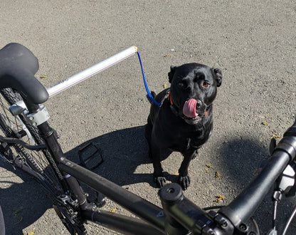 Moved By Bikes Dog Runners - Angler's Pro Tackle & Outdoors