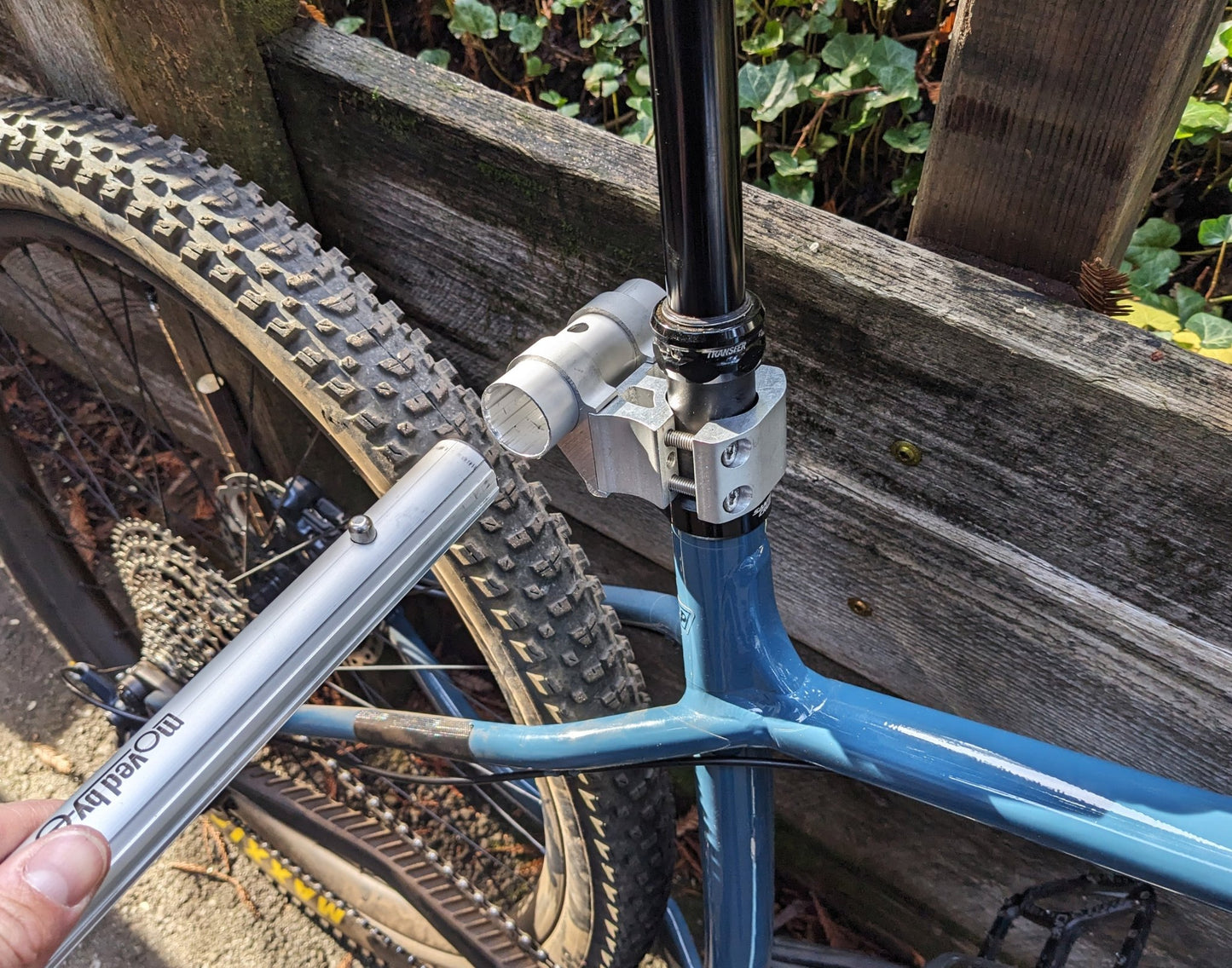 Moved By Bikes Dog Runners - Angler's Pro Tackle & Outdoors