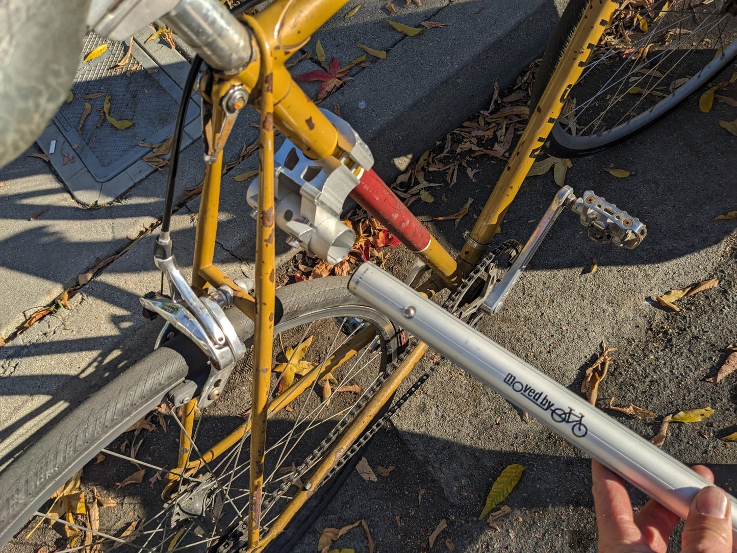 Moved By Bikes Dog Runners - Angler's Pro Tackle & Outdoors