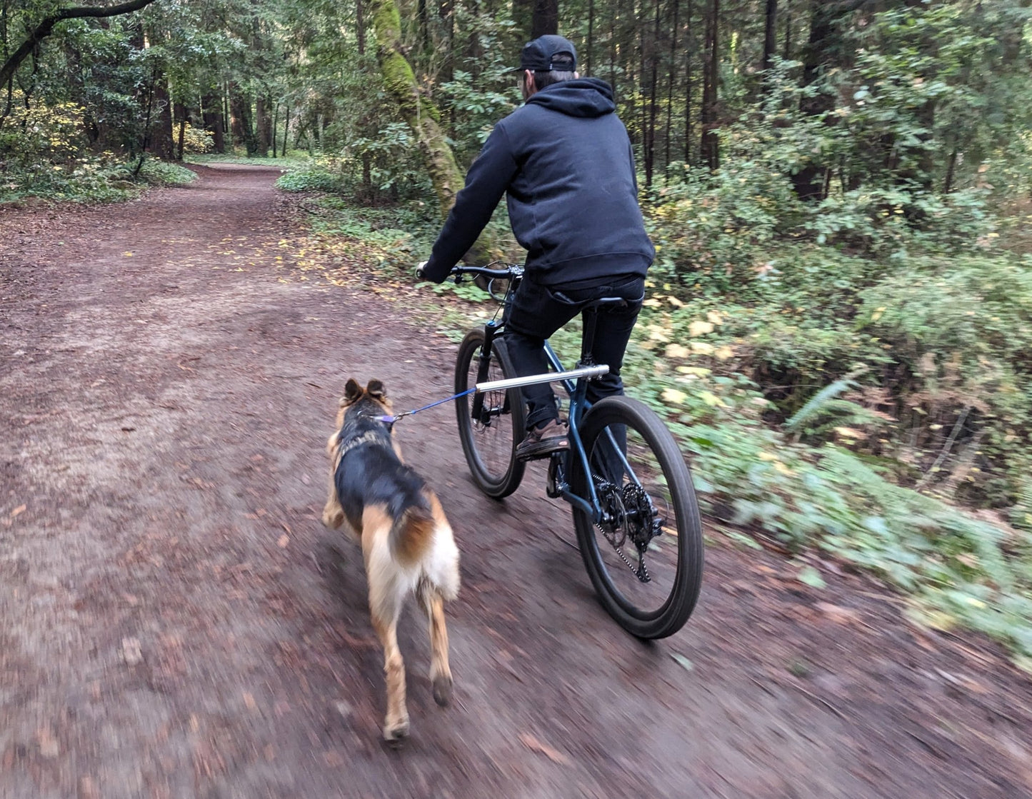 Moved By Bikes Dog Runners - Angler's Pro Tackle & Outdoors