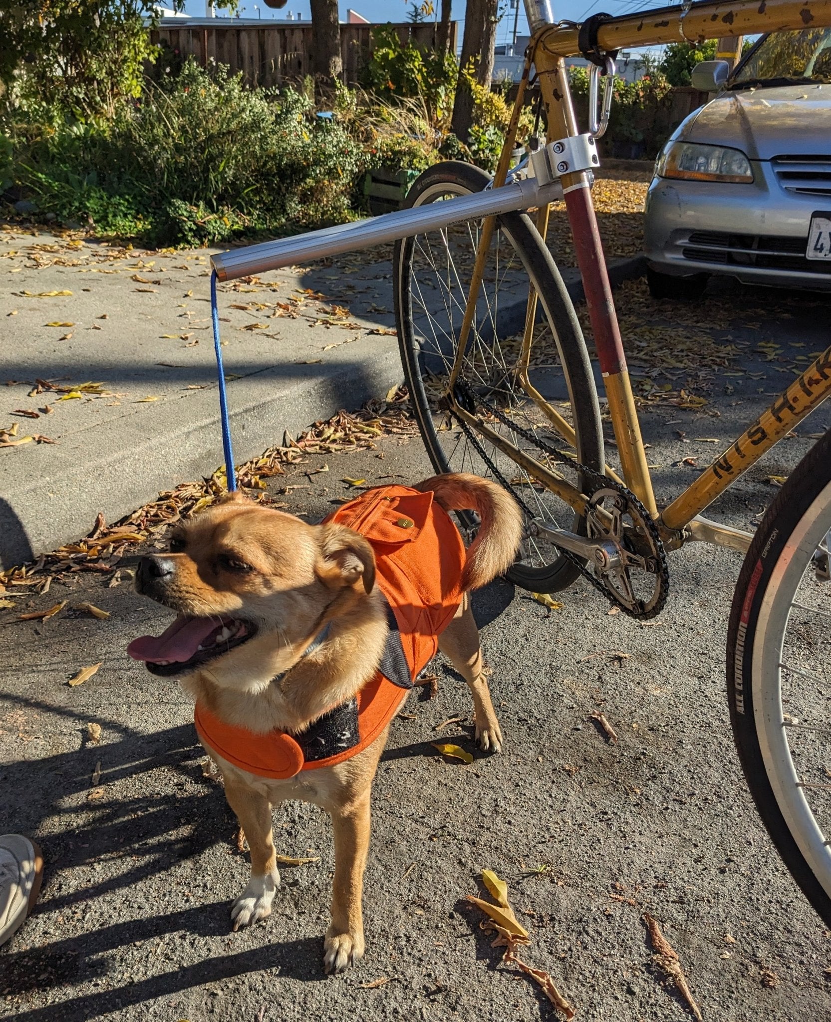 Moved By Bikes Dog Runners - Angler's Pro Tackle & Outdoors