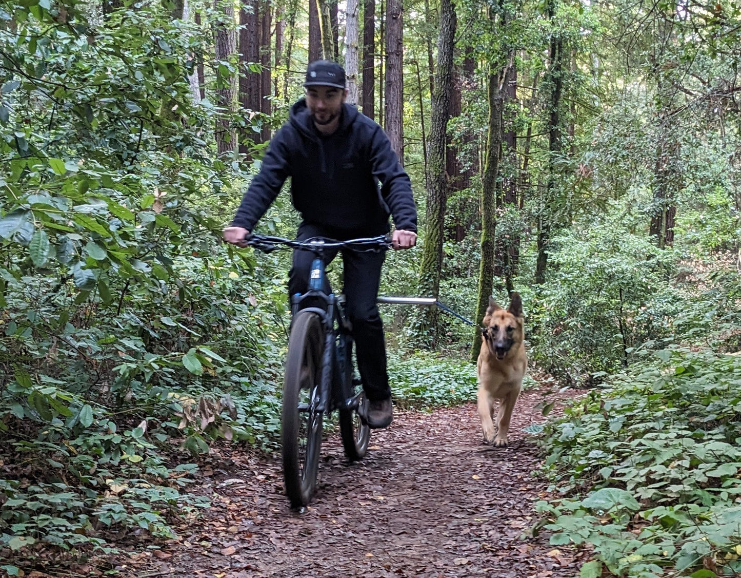 Moved By Bikes Dog Runners - Angler's Pro Tackle & Outdoors