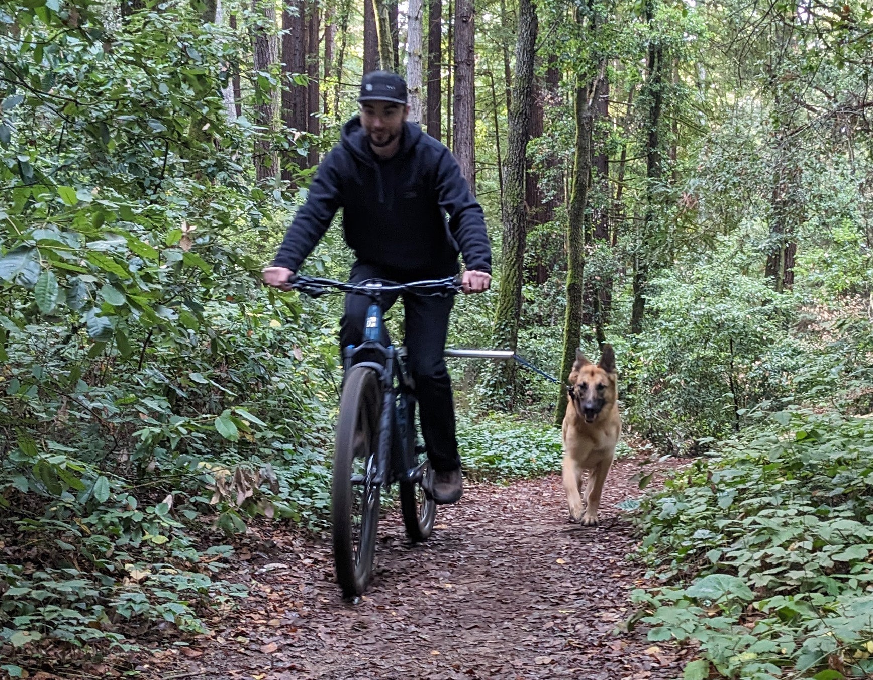 Moved By Bikes Dog Runners - Angler's Pro Tackle & Outdoors