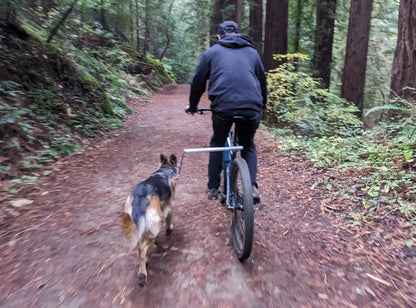 Moved By Bikes Dog Runners - Angler's Pro Tackle & Outdoors