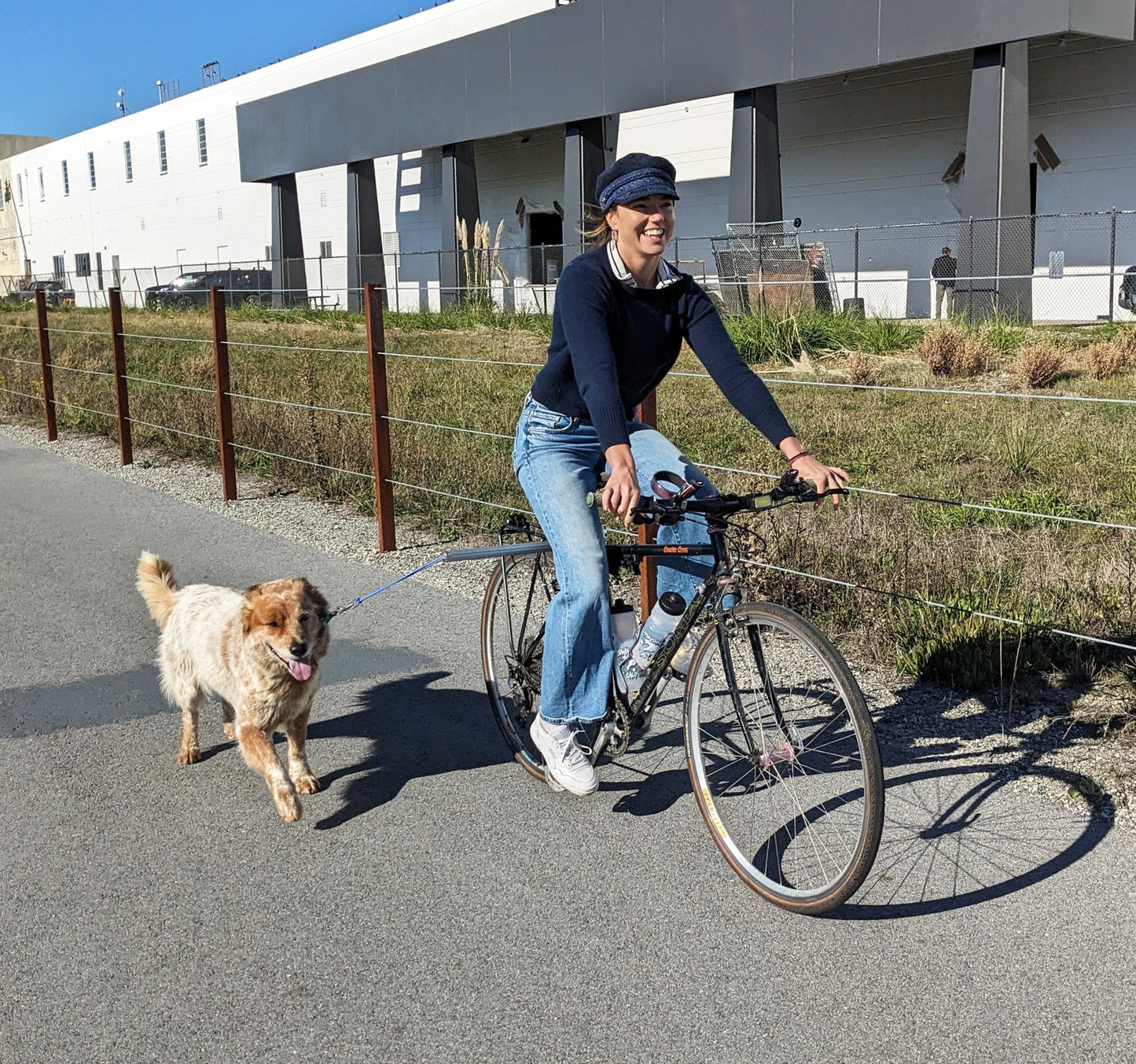 Moved By Bikes Dog Runners - Angler's Pro Tackle & Outdoors