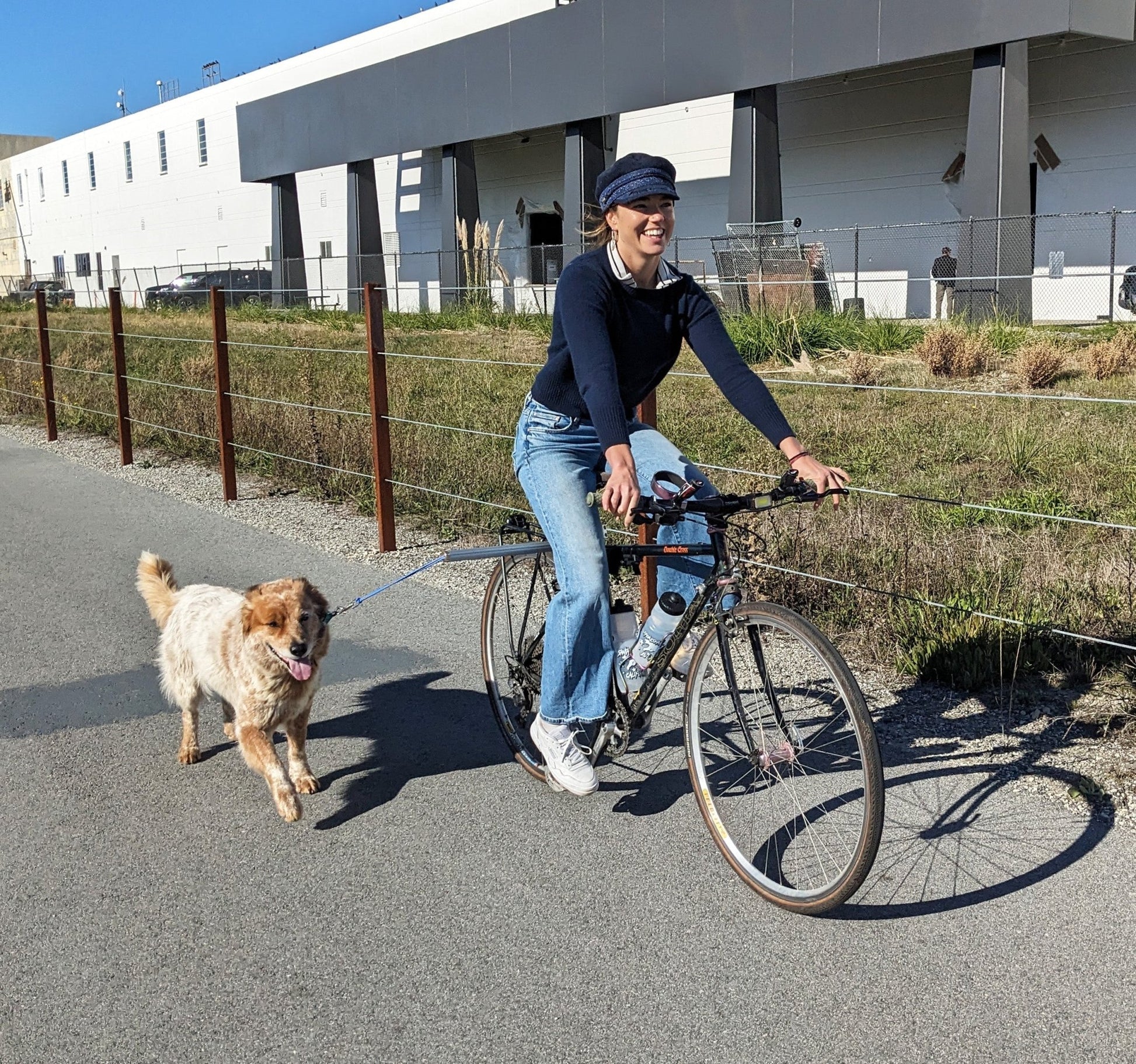 Moved By Bikes Dog Runners - Angler's Pro Tackle & Outdoors