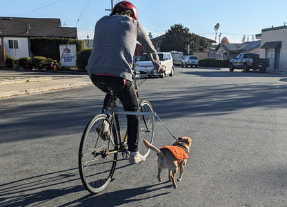 Moved By Bikes Dog Runners - Angler's Pro Tackle & Outdoors