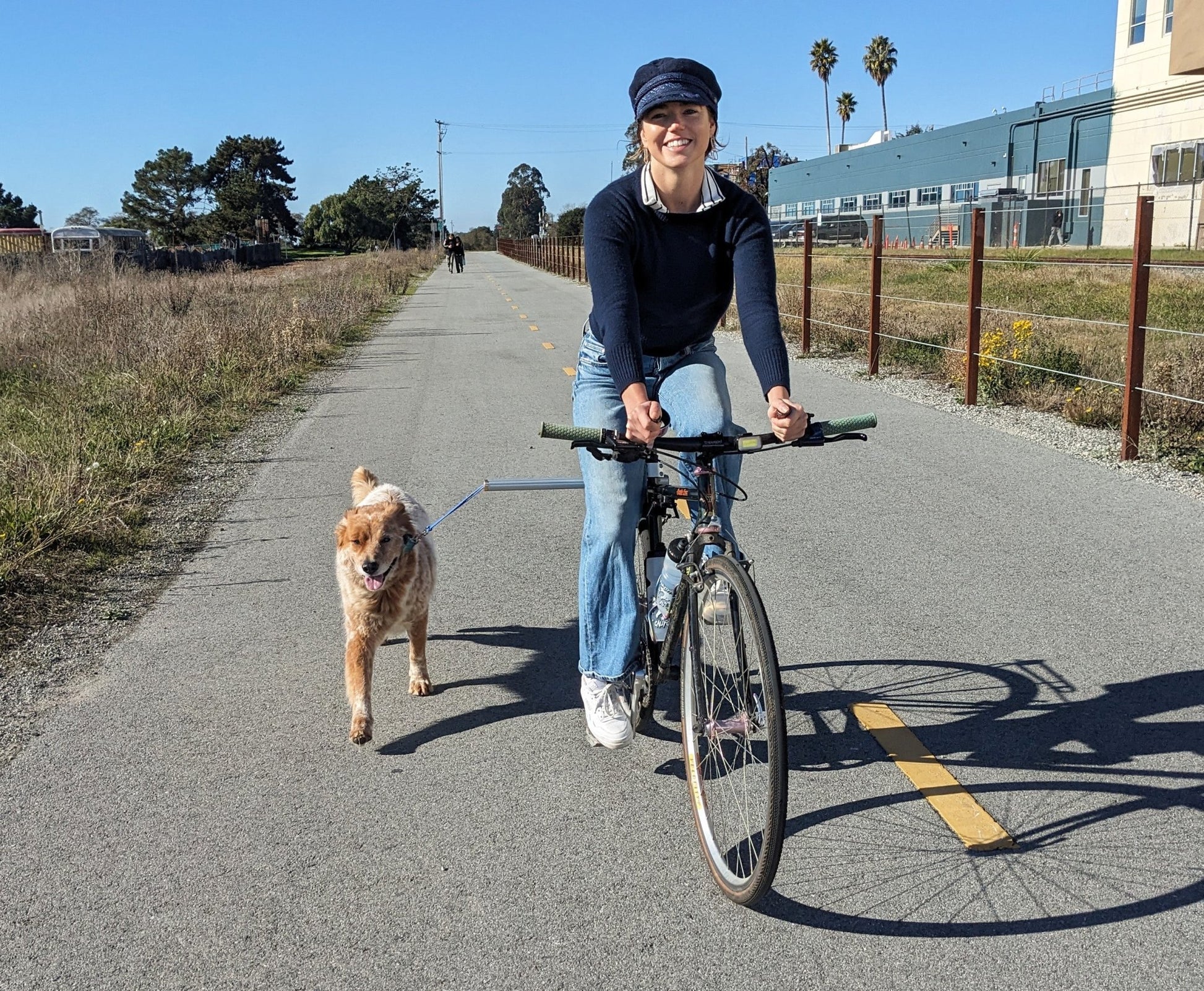 Moved By Bikes Dog Runners - Angler's Pro Tackle & Outdoors