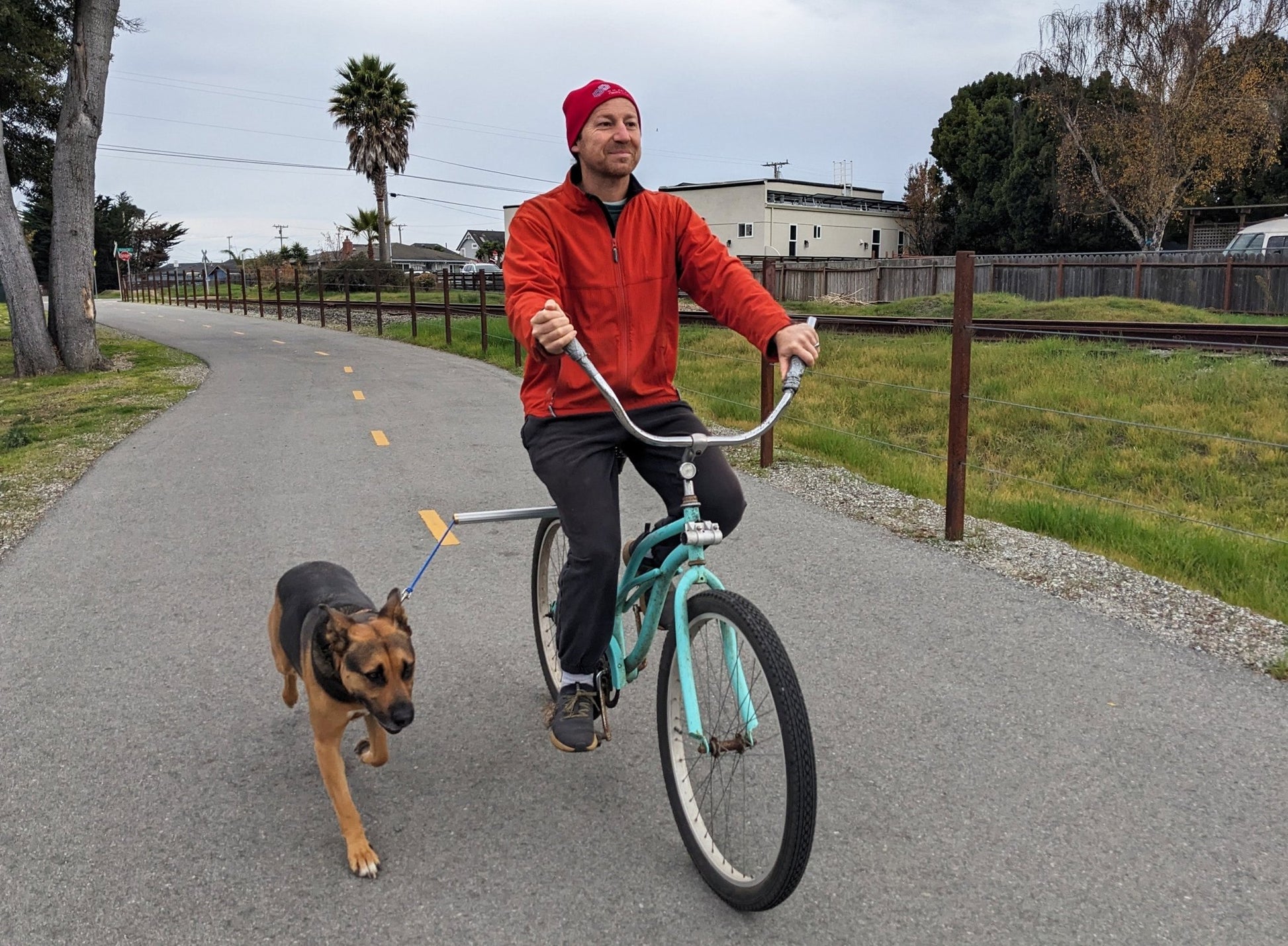 Moved By Bikes Dog Runners - Angler's Pro Tackle & Outdoors