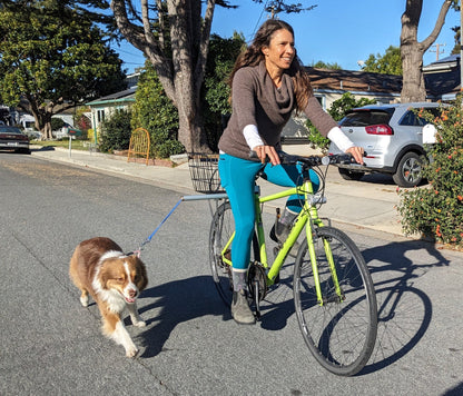 Moved By Bikes Dog Runners - Angler's Pro Tackle & Outdoors