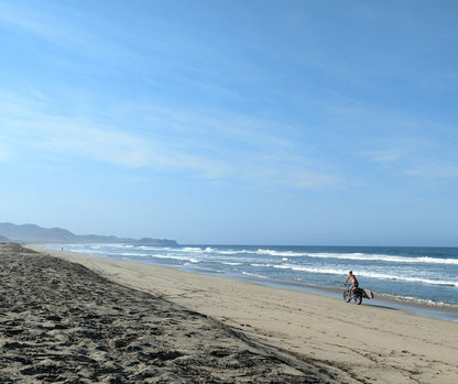 Moved By Bikes Shortboard Racks - Angler's Pro Tackle & Outdoors