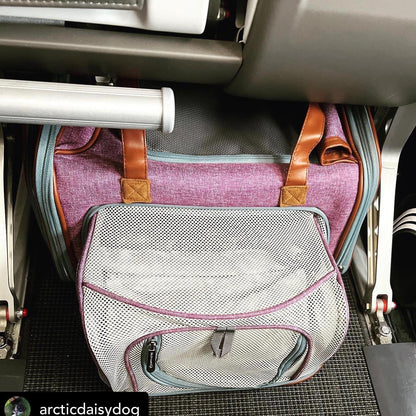 Mr. Peanut's Gold Series Big Apple XL Size Airline Compliant Double Expandable Pet Carrier - Angler's Pro Tackle & Outdoors