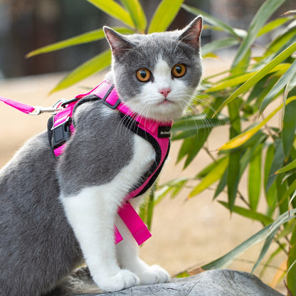 Mr. Peanut's PurrTrek Reflective Cat Harness with Matching Leash - Angler's Pro Tackle & Outdoors