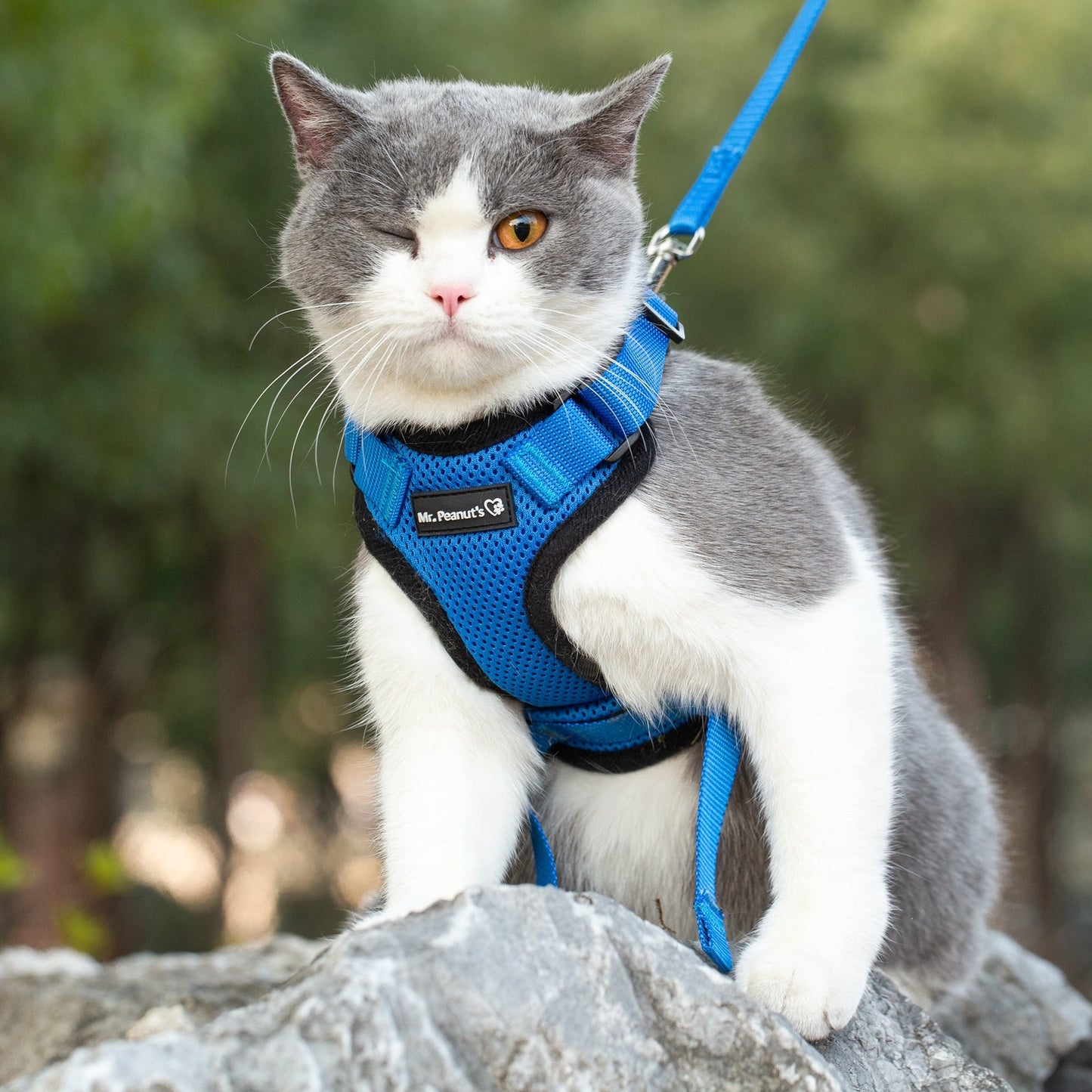 Mr. Peanut's PurrTrek Reflective Cat Harness with Matching Leash - Angler's Pro Tackle & Outdoors