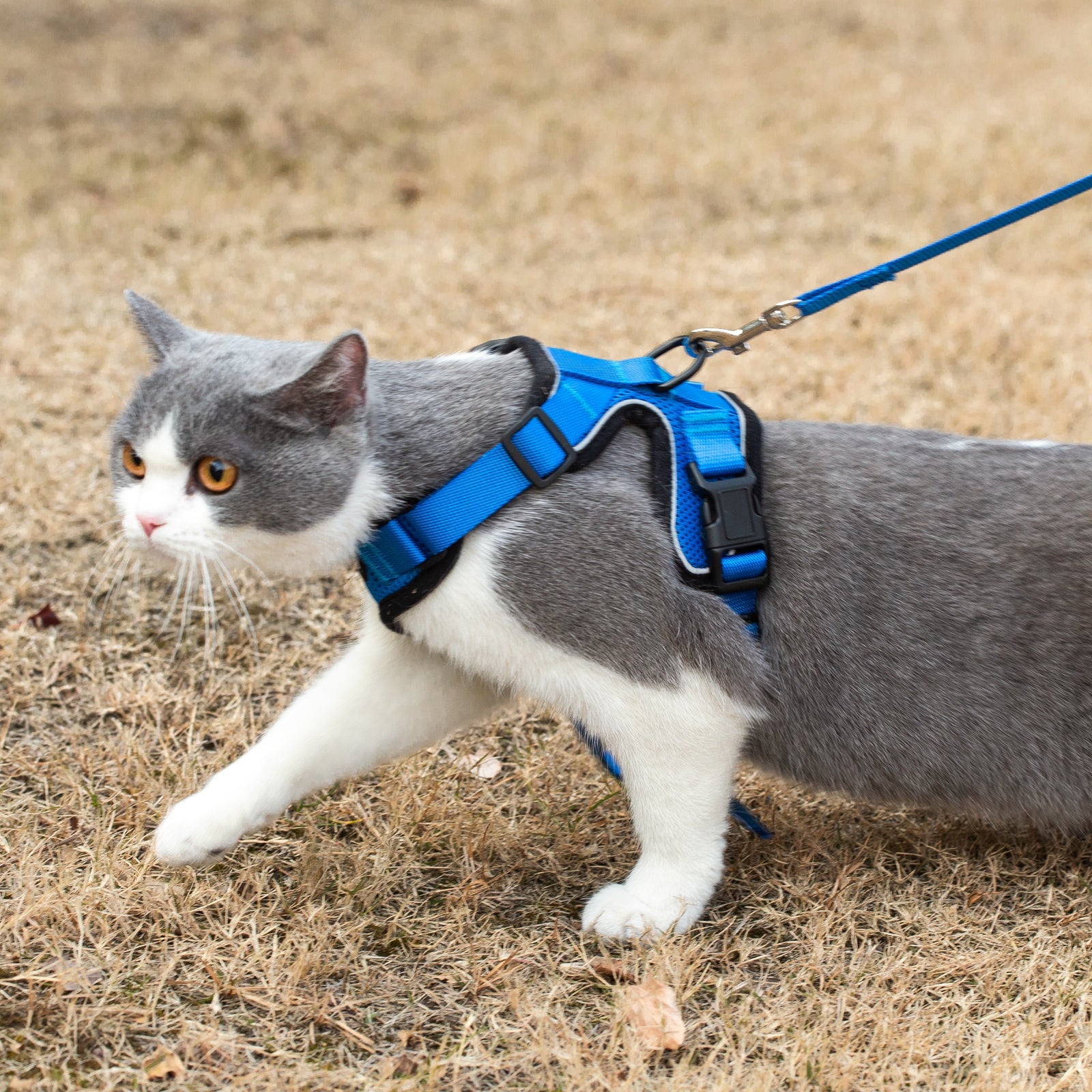 Mr. Peanut's PurrTrek Reflective Cat Harness with Matching Leash - Angler's Pro Tackle & Outdoors