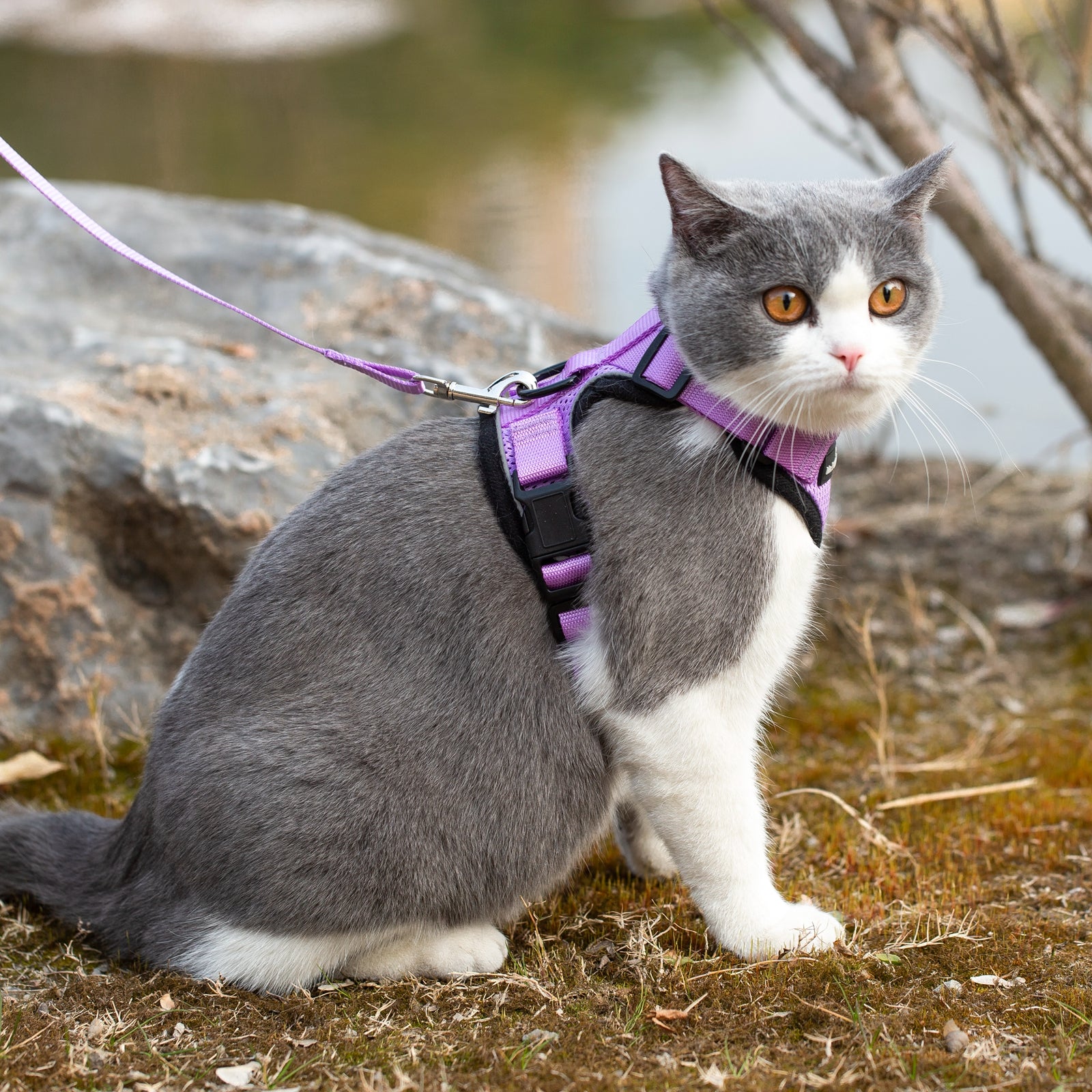 Mr. Peanut's PurrTrek Reflective Cat Harness with Matching Leash - Angler's Pro Tackle & Outdoors