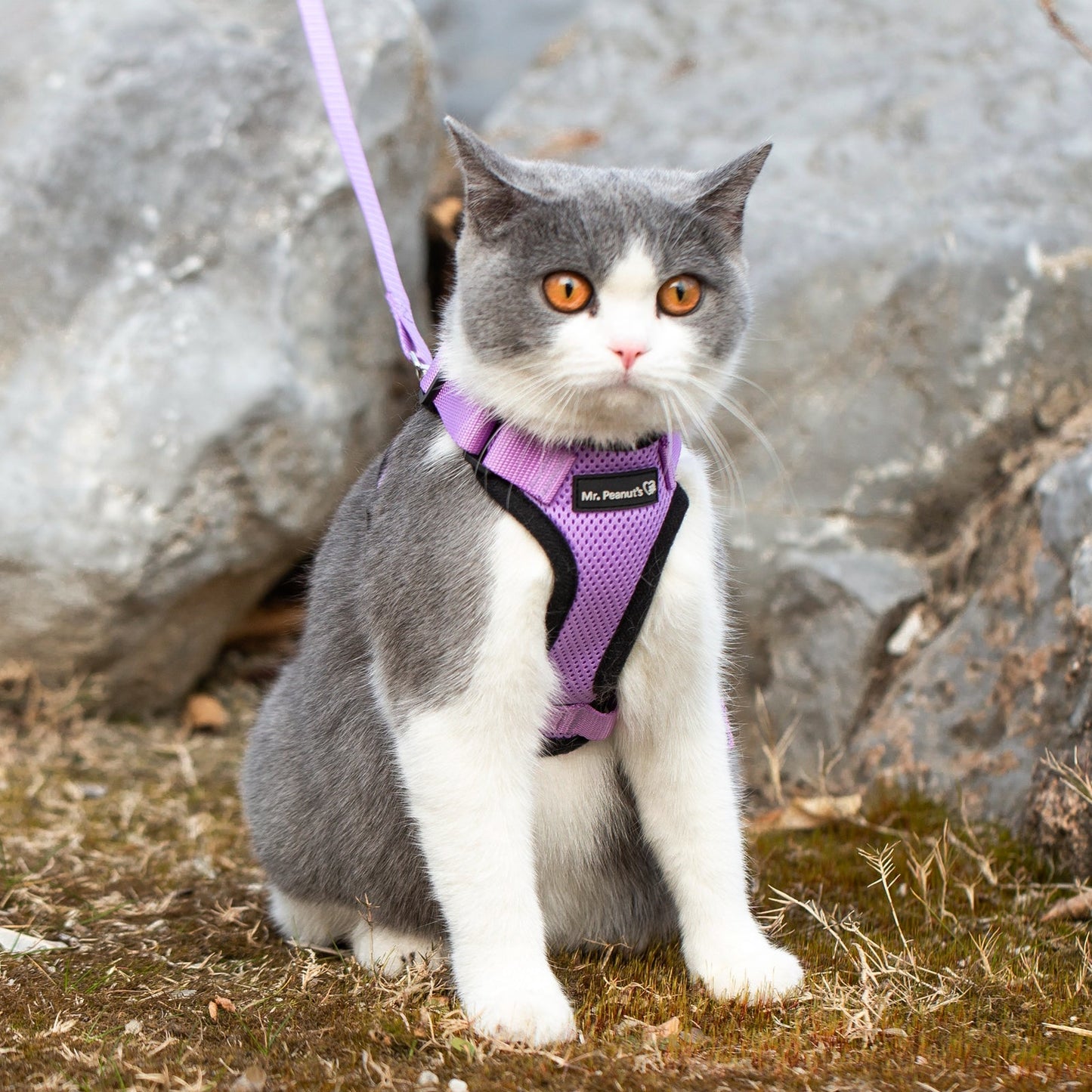 Mr. Peanut's PurrTrek Reflective Cat Harness with Matching Leash - Angler's Pro Tackle & Outdoors