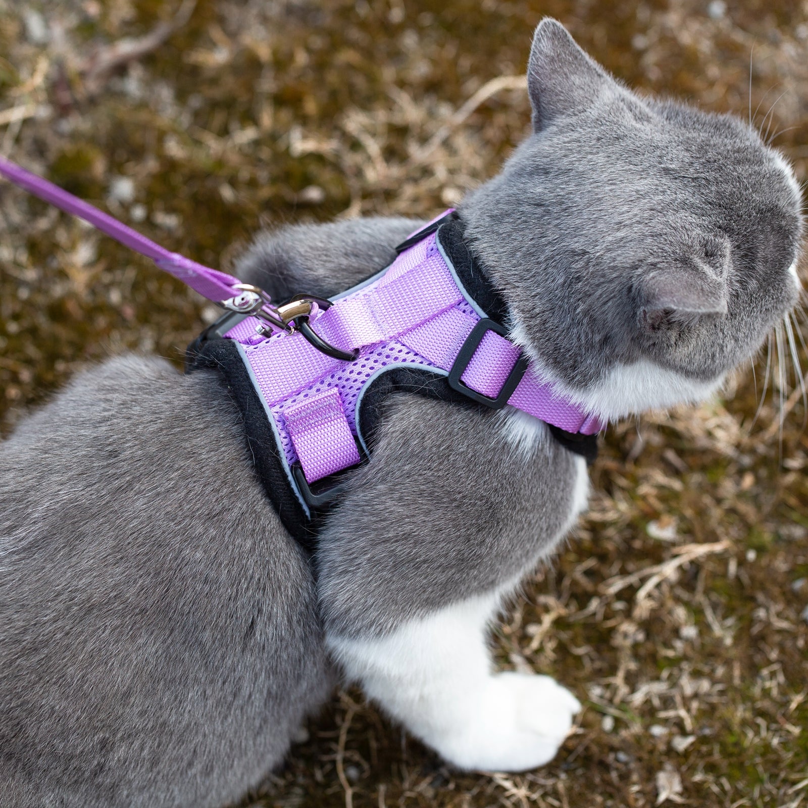 Mr. Peanut's PurrTrek Reflective Cat Harness with Matching Leash - Angler's Pro Tackle & Outdoors