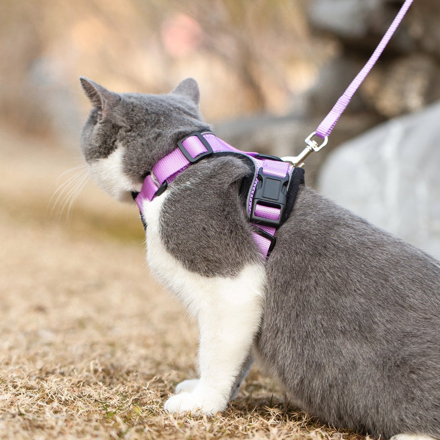 Mr. Peanut's PurrTrek Reflective Cat Harness with Matching Leash - Angler's Pro Tackle & Outdoors