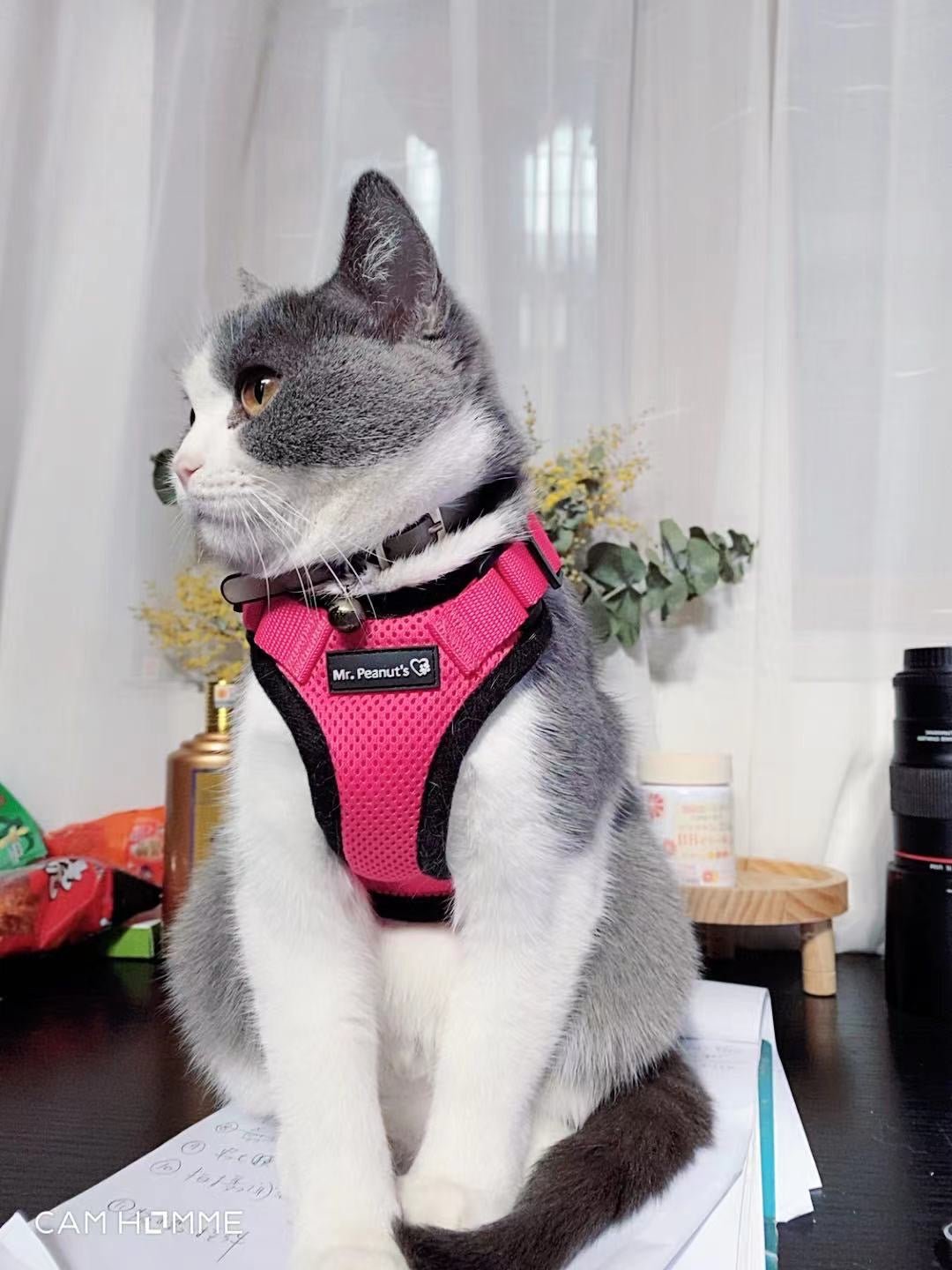 Mr. Peanut's PurrTrek Reflective Cat Harness with Matching Leash - Angler's Pro Tackle & Outdoors
