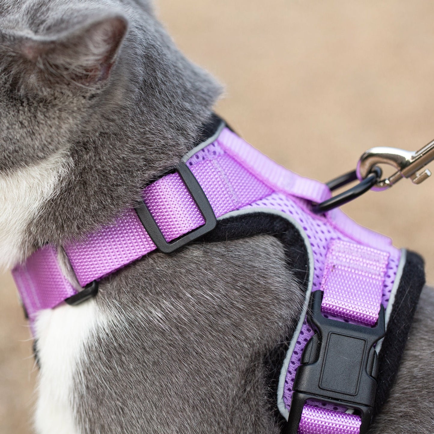 Mr. Peanut's PurrTrek Reflective Cat Harness with Matching Leash - Angler's Pro Tackle & Outdoors