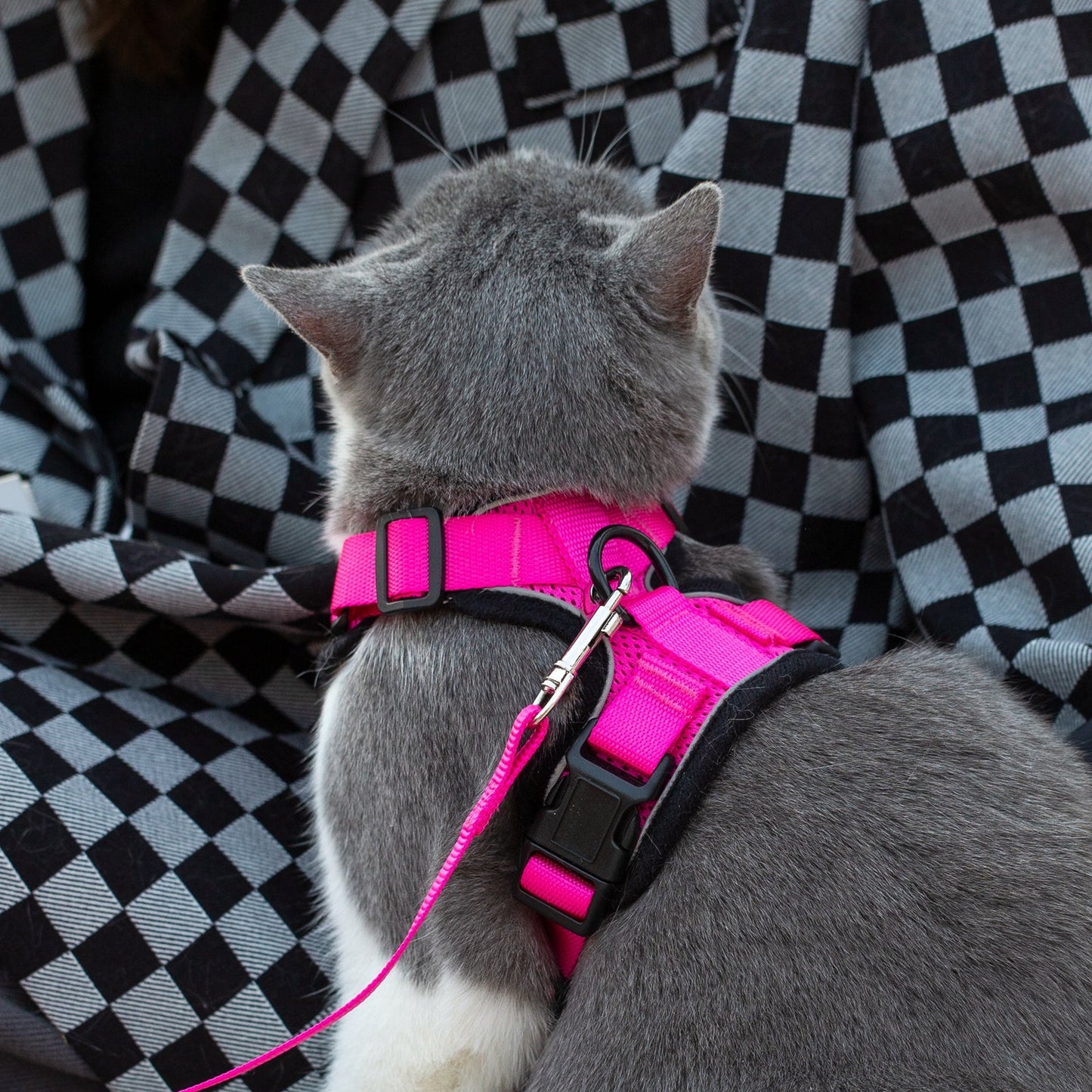 Mr. Peanut's PurrTrek Reflective Cat Harness with Matching Leash - Angler's Pro Tackle & Outdoors