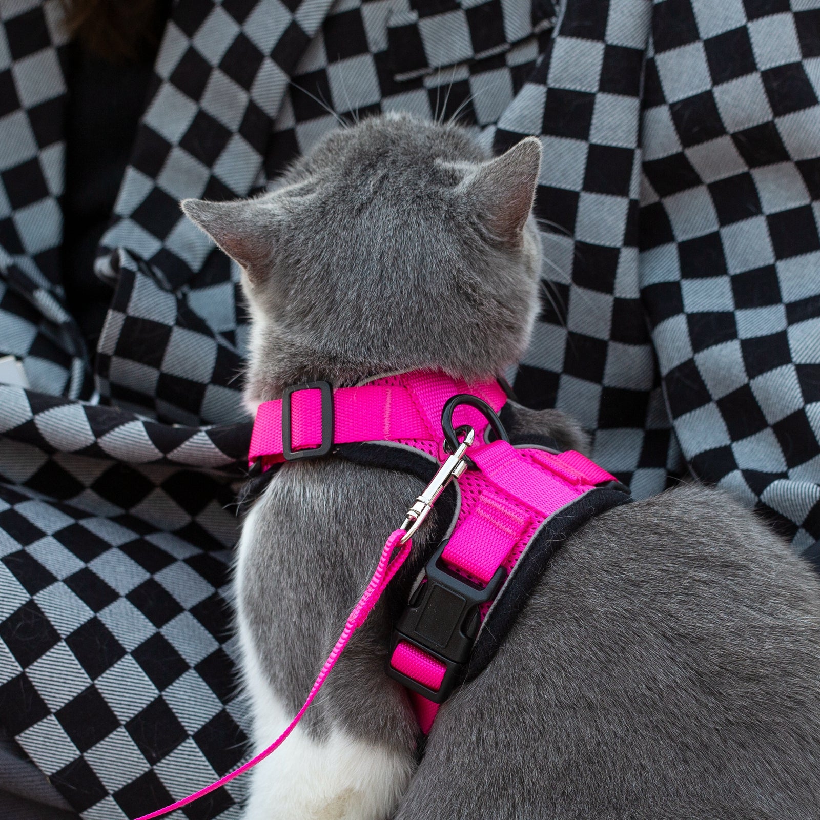 Mr. Peanut's PurrTrek Reflective Cat Harness with Matching Leash - Angler's Pro Tackle & Outdoors
