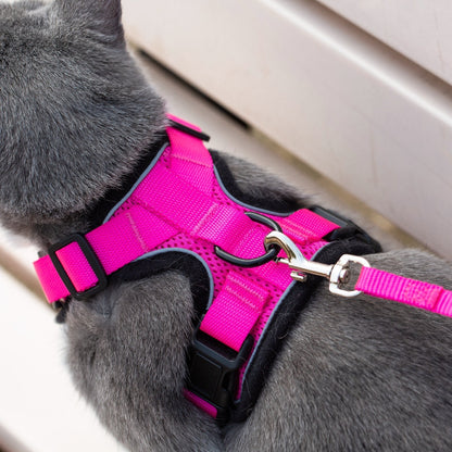 Mr. Peanut's PurrTrek Reflective Cat Harness with Matching Leash - Angler's Pro Tackle & Outdoors