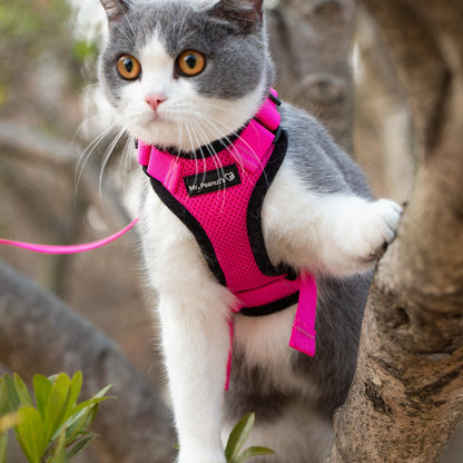Mr. Peanut's PurrTrek Reflective Cat Harness with Matching Leash - Angler's Pro Tackle & Outdoors