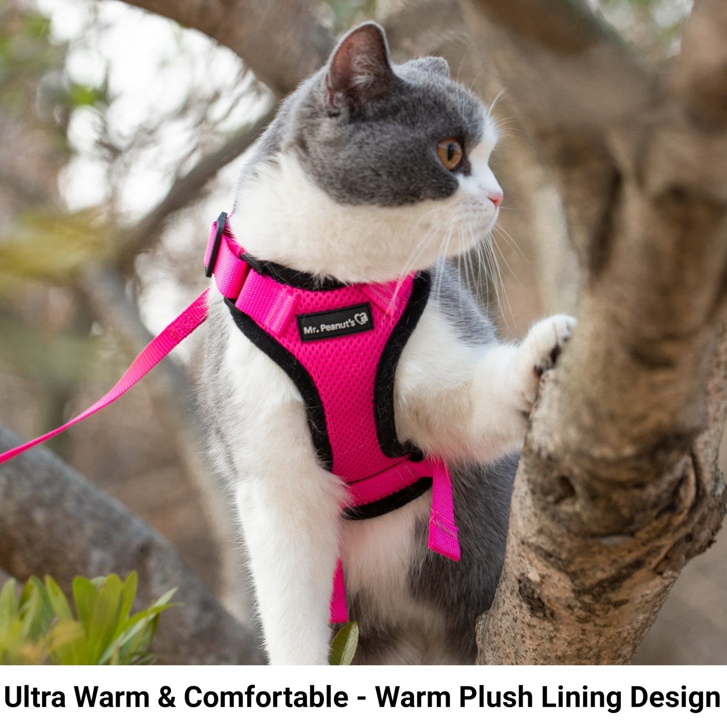 Mr. Peanut's PurrTrek Reflective Cat Harness with Matching Leash - Angler's Pro Tackle & Outdoors