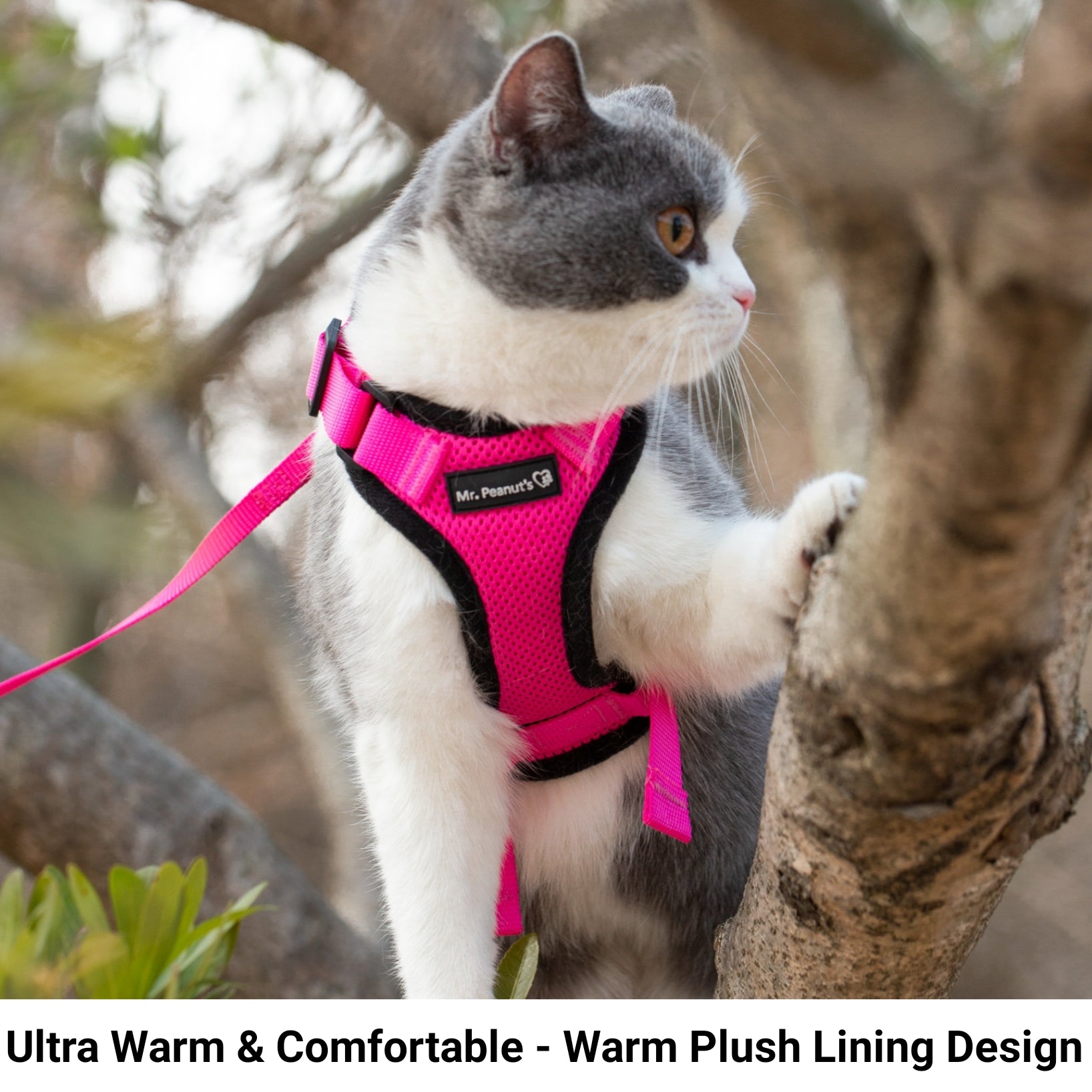Mr. Peanut's PurrTrek Reflective Cat Harness with Matching Leash - Angler's Pro Tackle & Outdoors