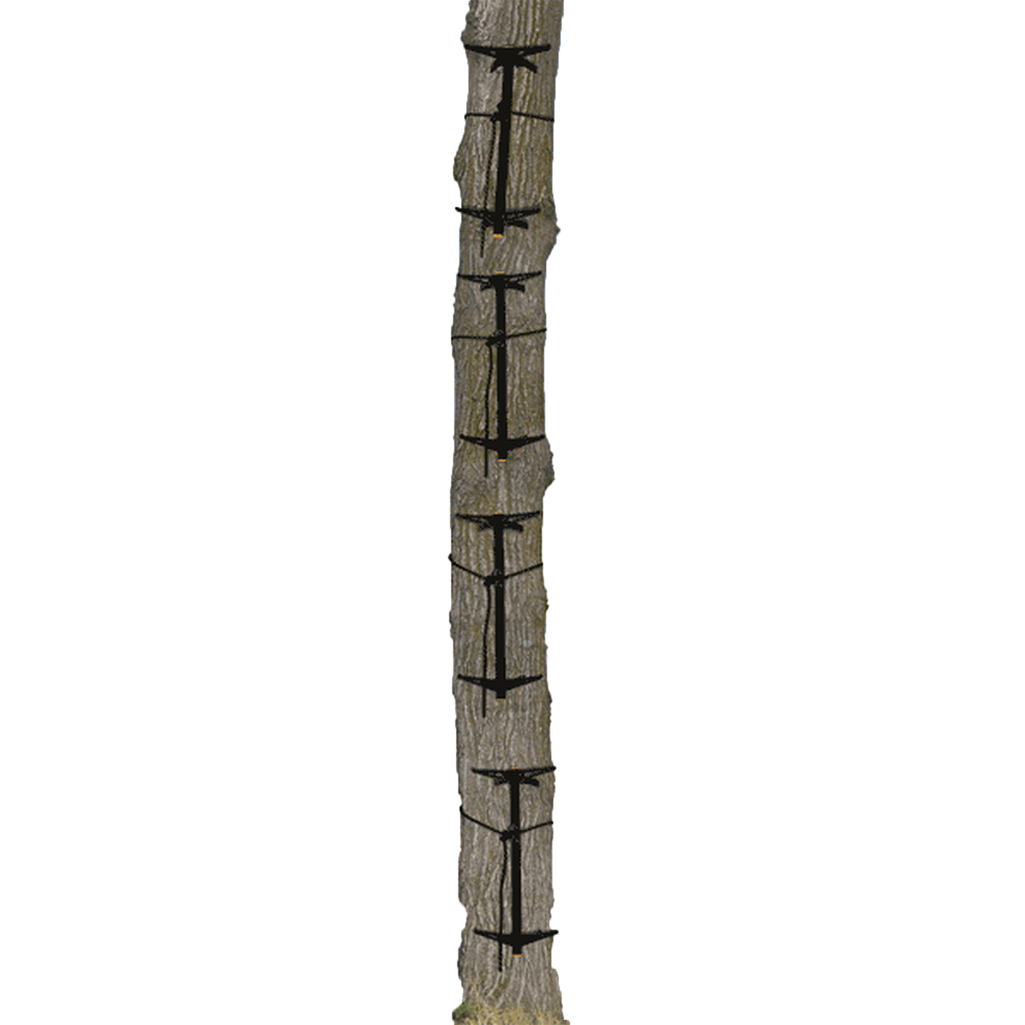 Muddy Outdoors Peg-Pack Series Pro Climbing Stick w/Rope Cam Attachment (8 Pack)