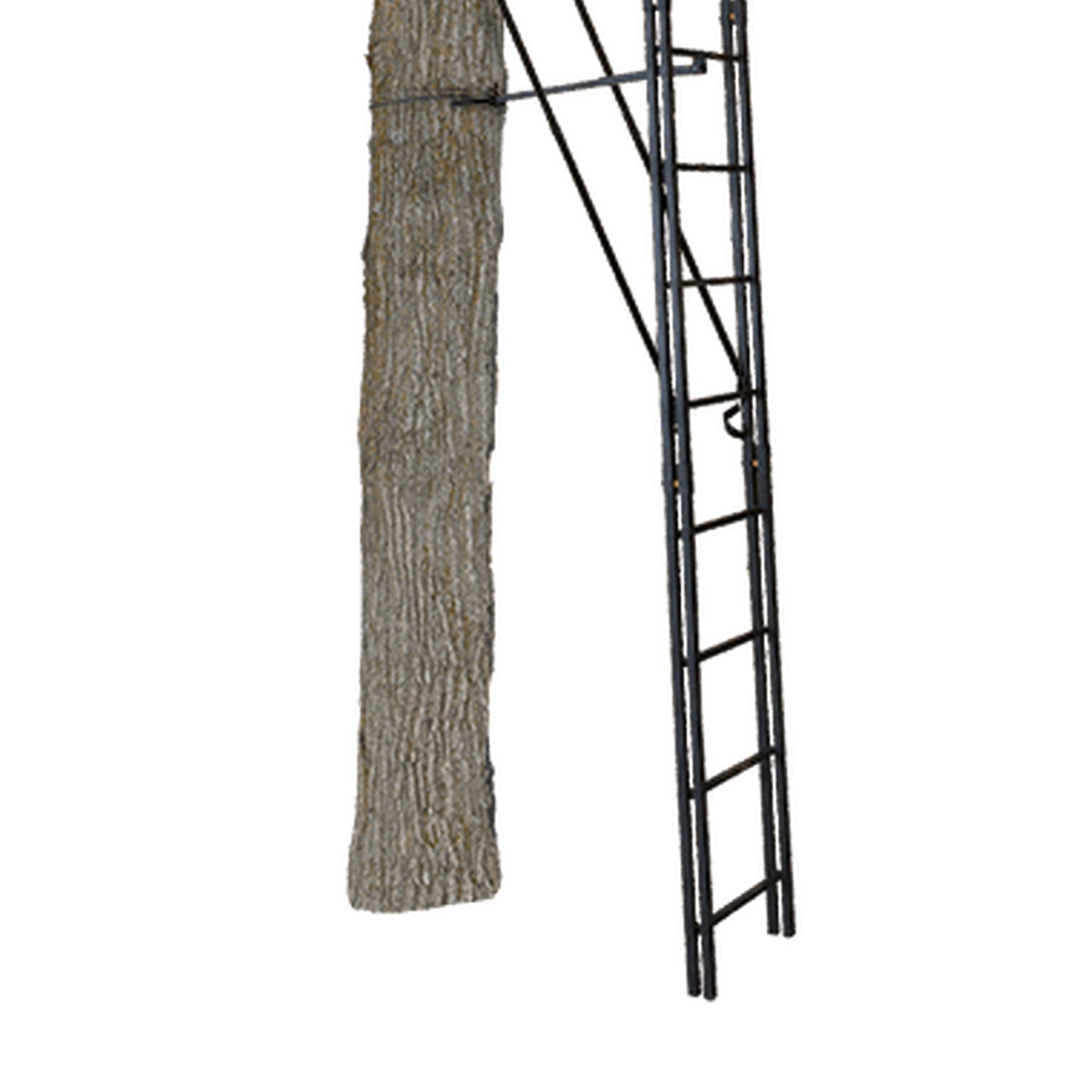 Muddy The Skybox 20 Foot 1 Person Hunting Deer Ladder Tree Stand, Black (2 Pack) - Angler's Pro Tackle & Outdoors