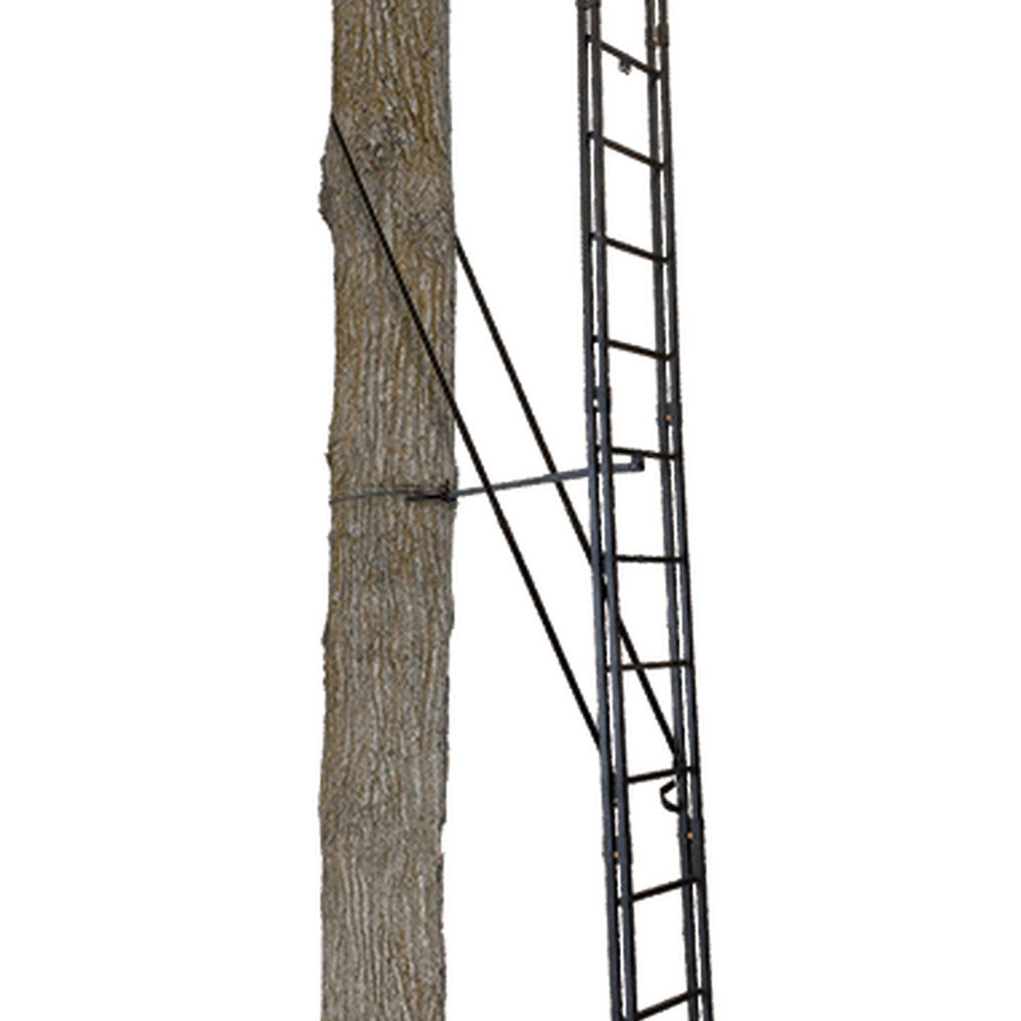 Muddy The Skybox 20 Foot 1 Person Hunting Deer Ladder Tree Stand, Black (2 Pack) - Angler's Pro Tackle & Outdoors