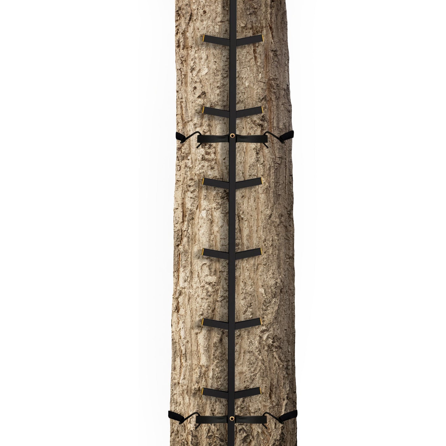 Muddy Outdoors Quick Stick XL Climbing Stick with Powder Coated Finish, Black