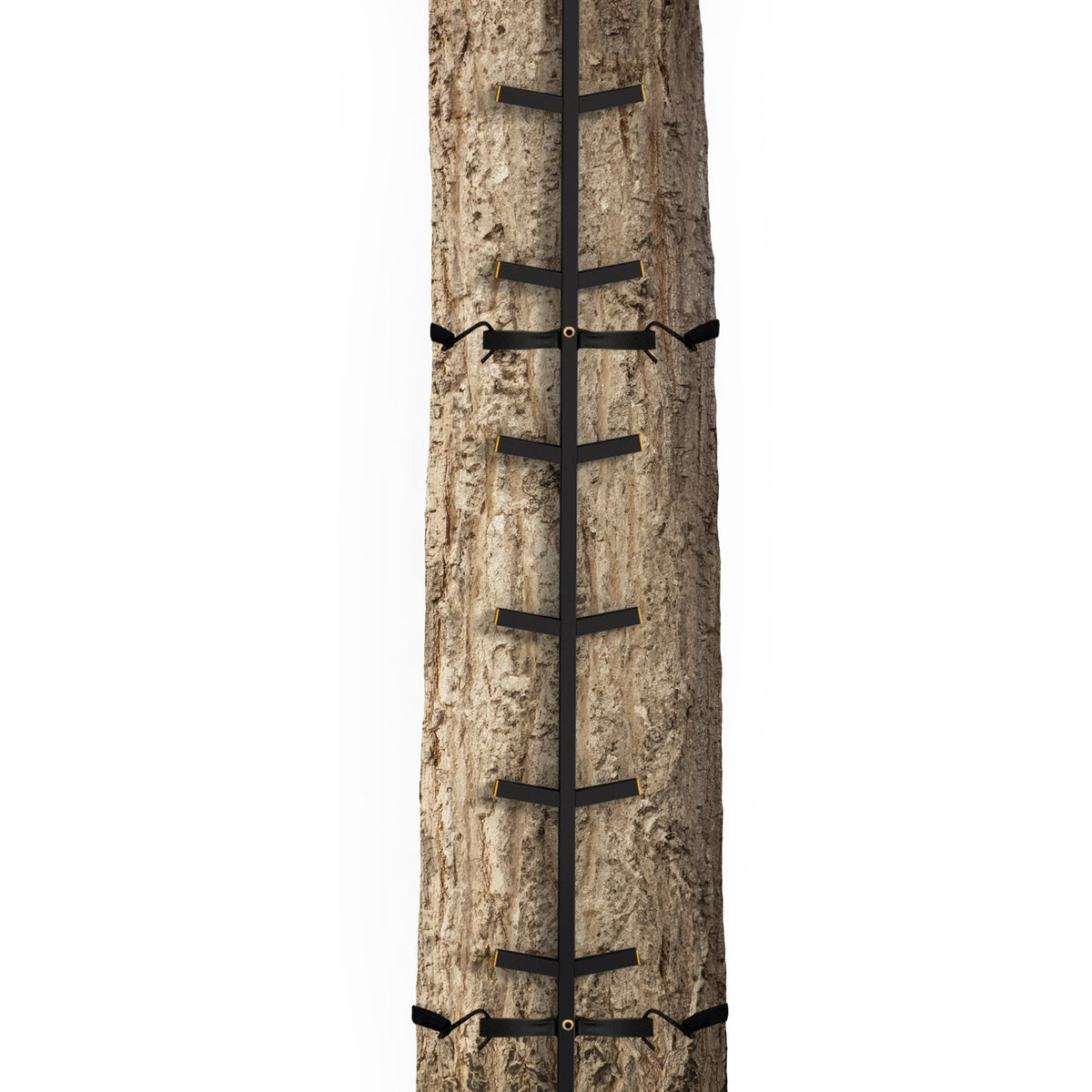 Muddy Outdoors Quick Stick XL Climbing Stick with Powder Coated Finish, Black