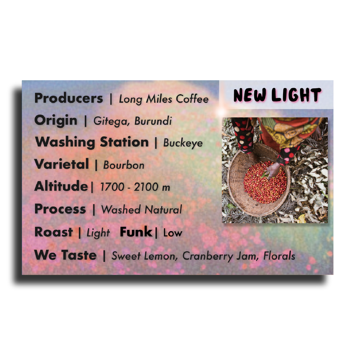 Superlost Coffee New Light