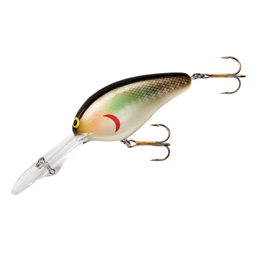 Norman DD22 Crankbait - Angler's Pro Tackle & Outdoors