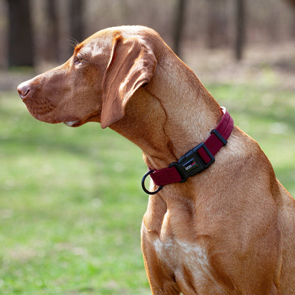Dogline Nylon Flat Collar