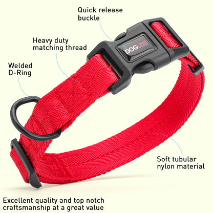 Dogline Nylon Flat Collar