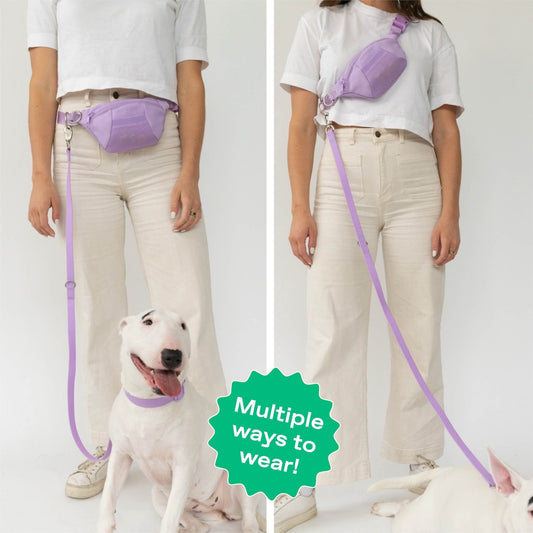 Original Hands - Springland Pets Free Neoprene Dog Walking Bag with 3.25ft Leash - Angler's Pro Tackle & Outdoors