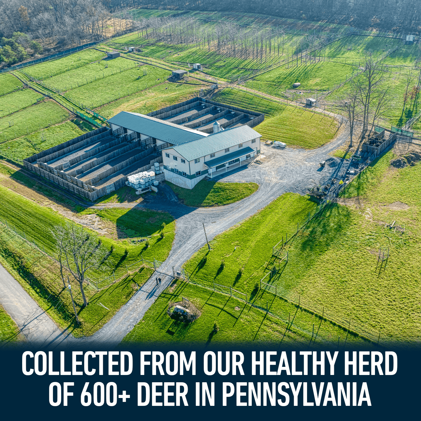 Outdoor Hunting Lab Deer Society Rut Package - Buy 5 Bottles Get 6 Free - Angler's Pro Tackle & Outdoors