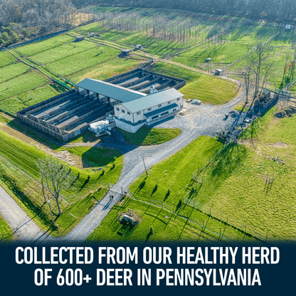 Outdoor Hunting Lab Deer Society Rut Package - Buy 5 Bottles Get 6 Free - Angler's Pro Tackle & Outdoors