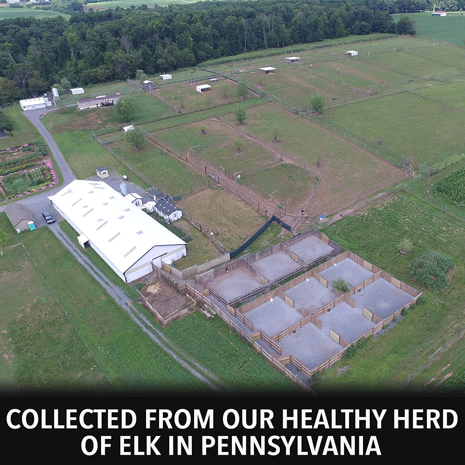 Outdoor Hunting Lab Elk Urine - Angler's Pro Tackle & Outdoors