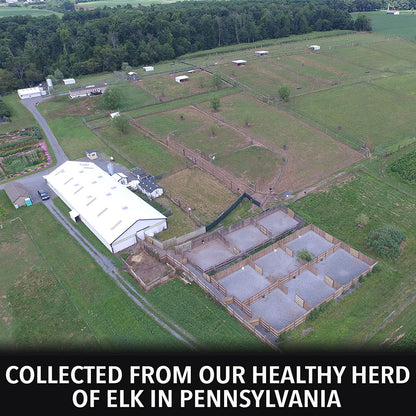 Outdoor Hunting Lab Elk Urine - Angler's Pro Tackle & Outdoors